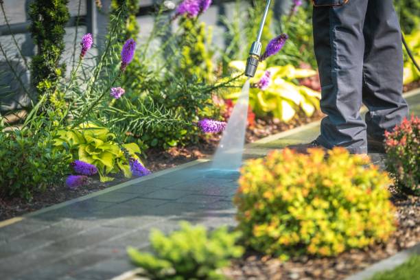 Professional Pressure Washing Services in Tuba City, AZ
